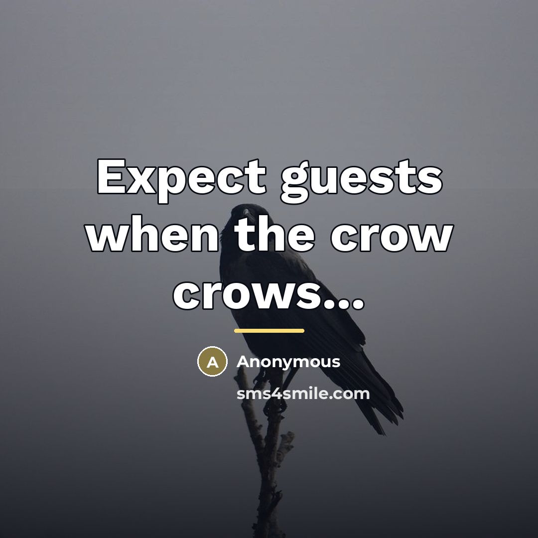 “Expect guests when the crow crows...…” quote by Anonymous