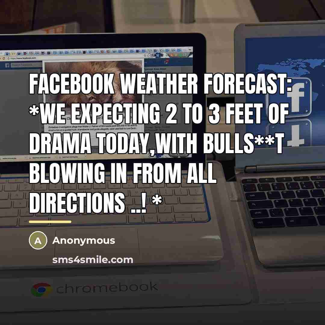 “Facebook Weather Forecast: *We expecting 2 to 3 feet of drama today,with bulls**t blowing in from all directions ..! *” quote by Anonymous