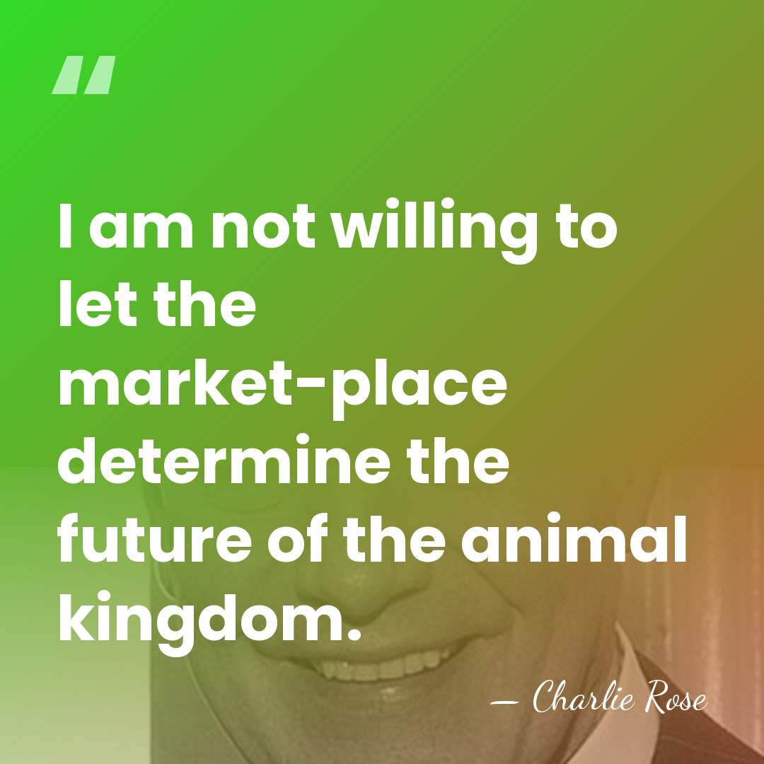 I am not willing to let the market-place determine the future of&hellip; - Charlie Rose