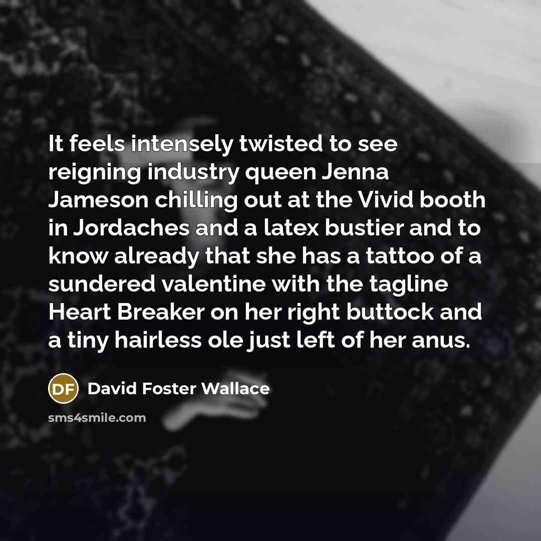 “It feels intensely twisted to see reigning industry queen Jenna…” quote by David Foster Wallace
