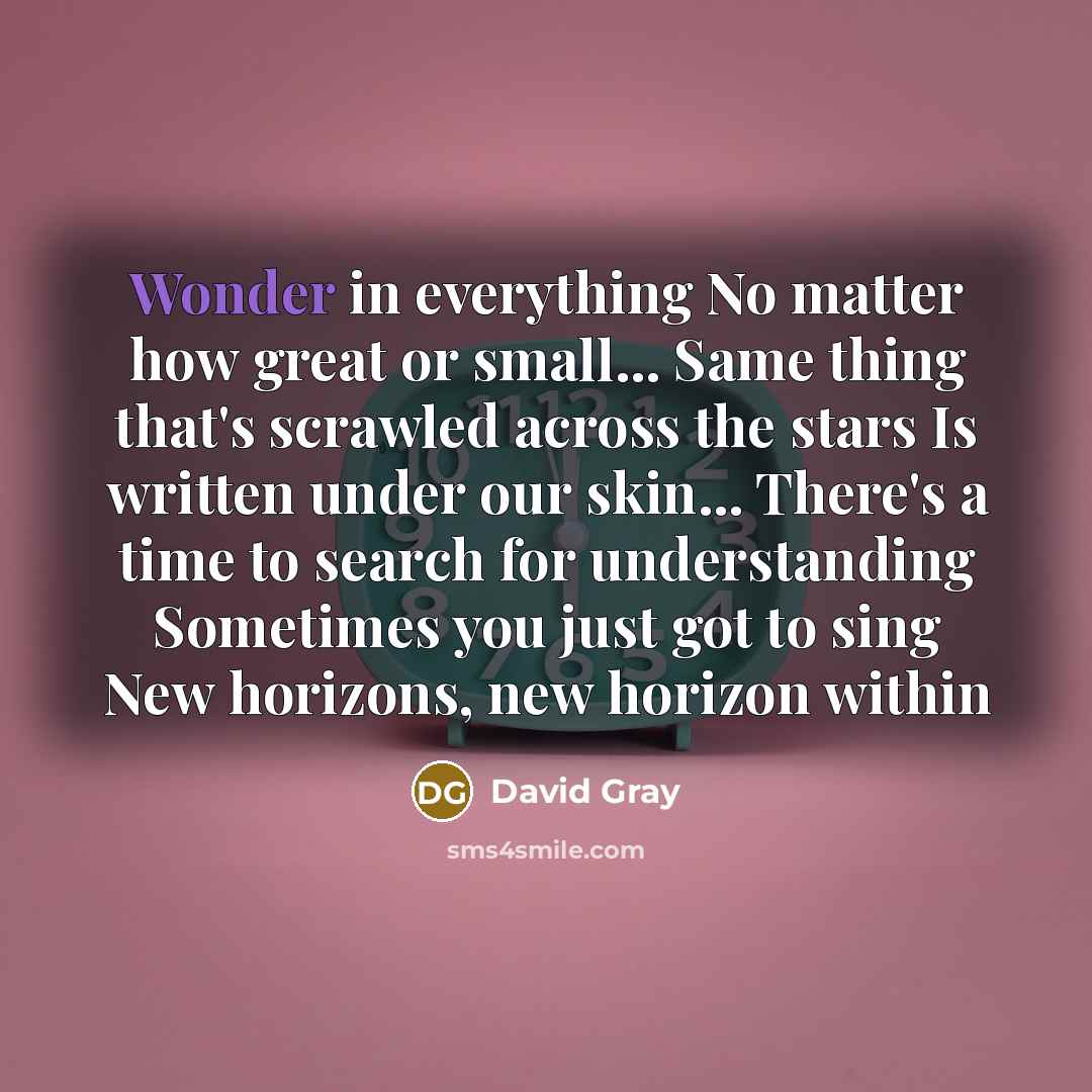 “Wonder in everything No matter how great or small... Same…” quote by David Gray