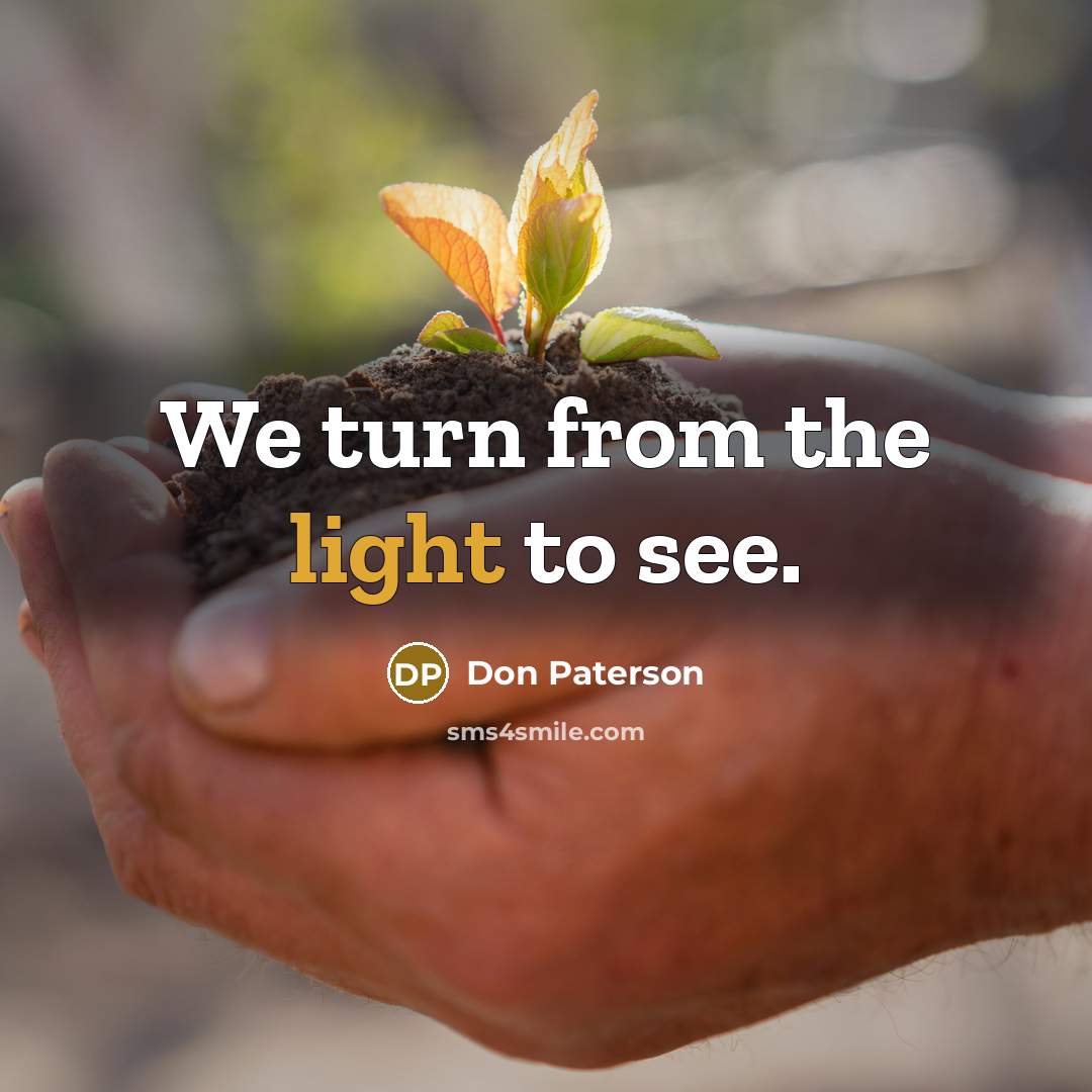 “We turn from the light to see.…” quote by Don Paterson