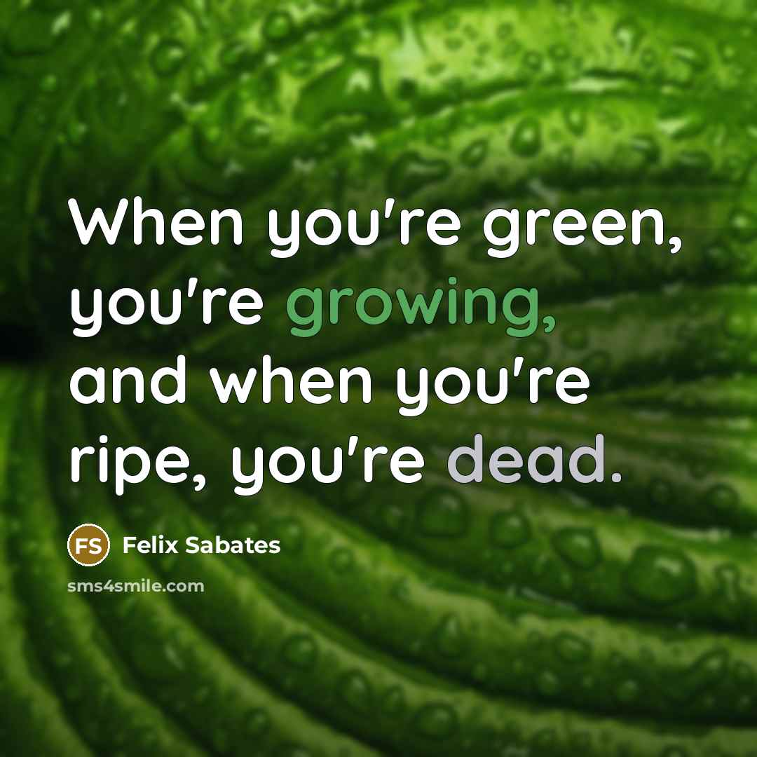 “When you're green, you're growing, and when you're ripe, you're…” quote by Felix Sabates