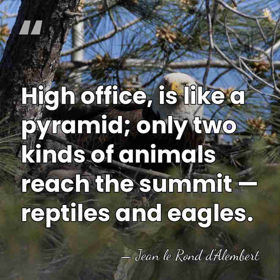 High office, is like a pyramid; only two kinds of animals reach&hellip; - Jean le Rond d'Alembert