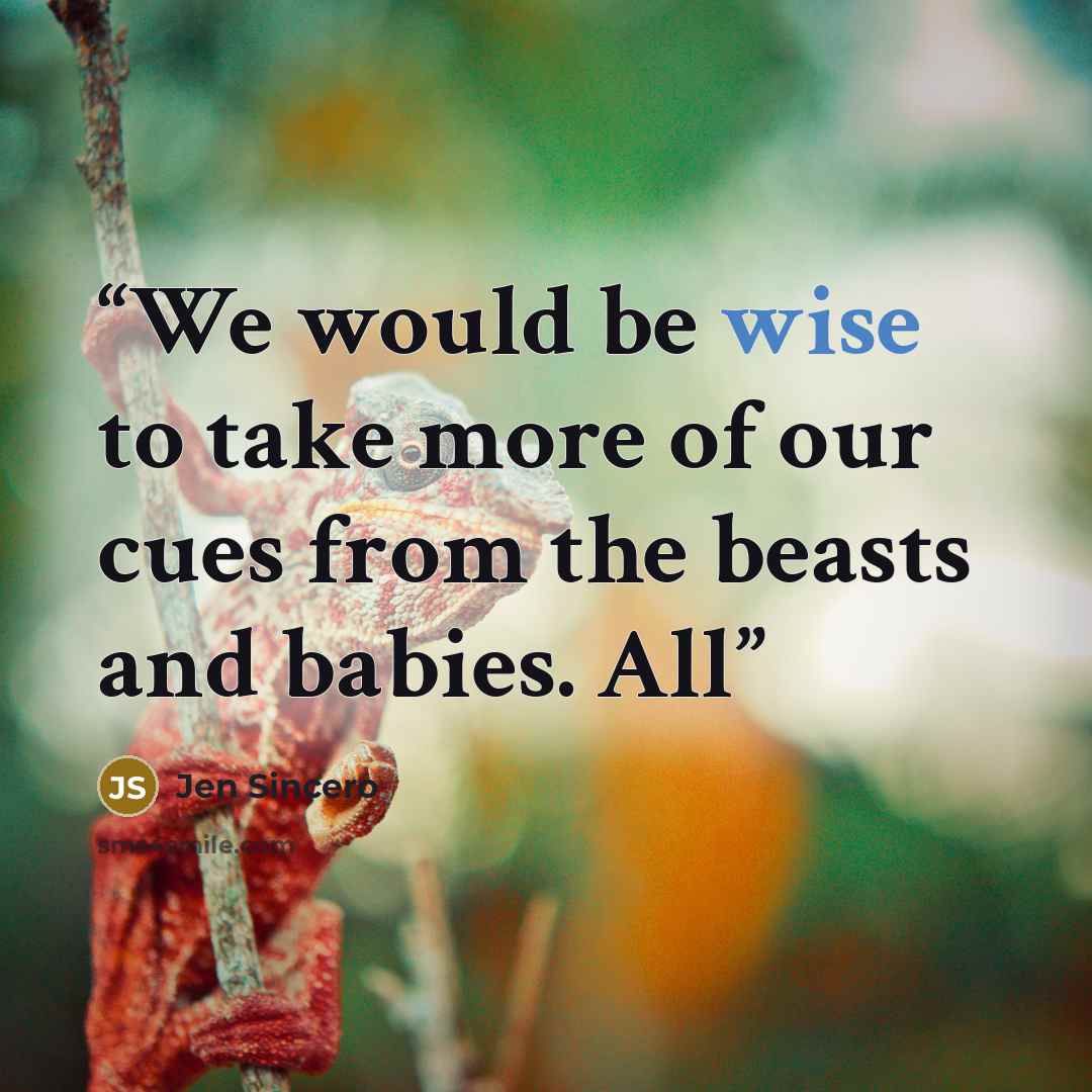 “We would be wise to take more of our cues from the beasts and babies. All” quote by Jen Sincero