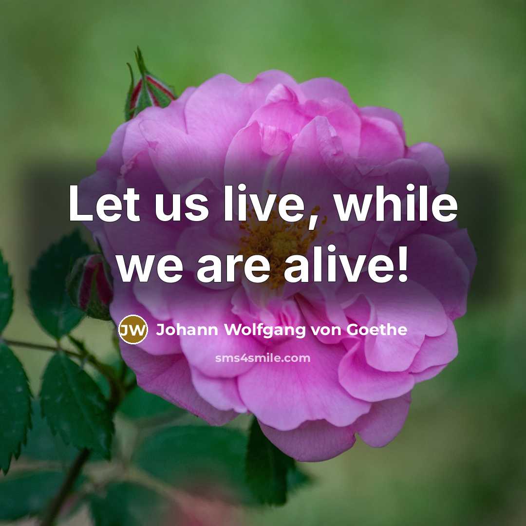 “Let us live, while we are alive!…” quote by Johann Wolfgang von Goethe