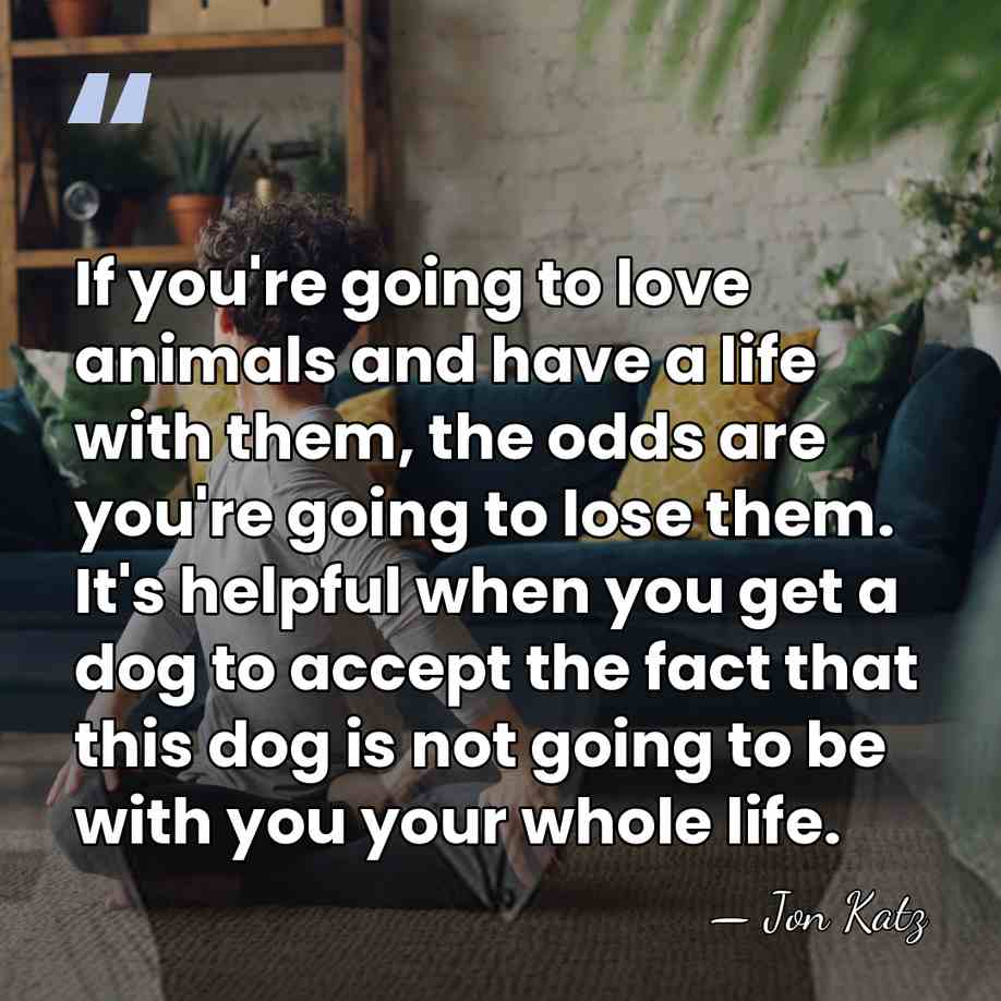 If you're going to love animals and have a life with them,&hellip; - Jon Katz