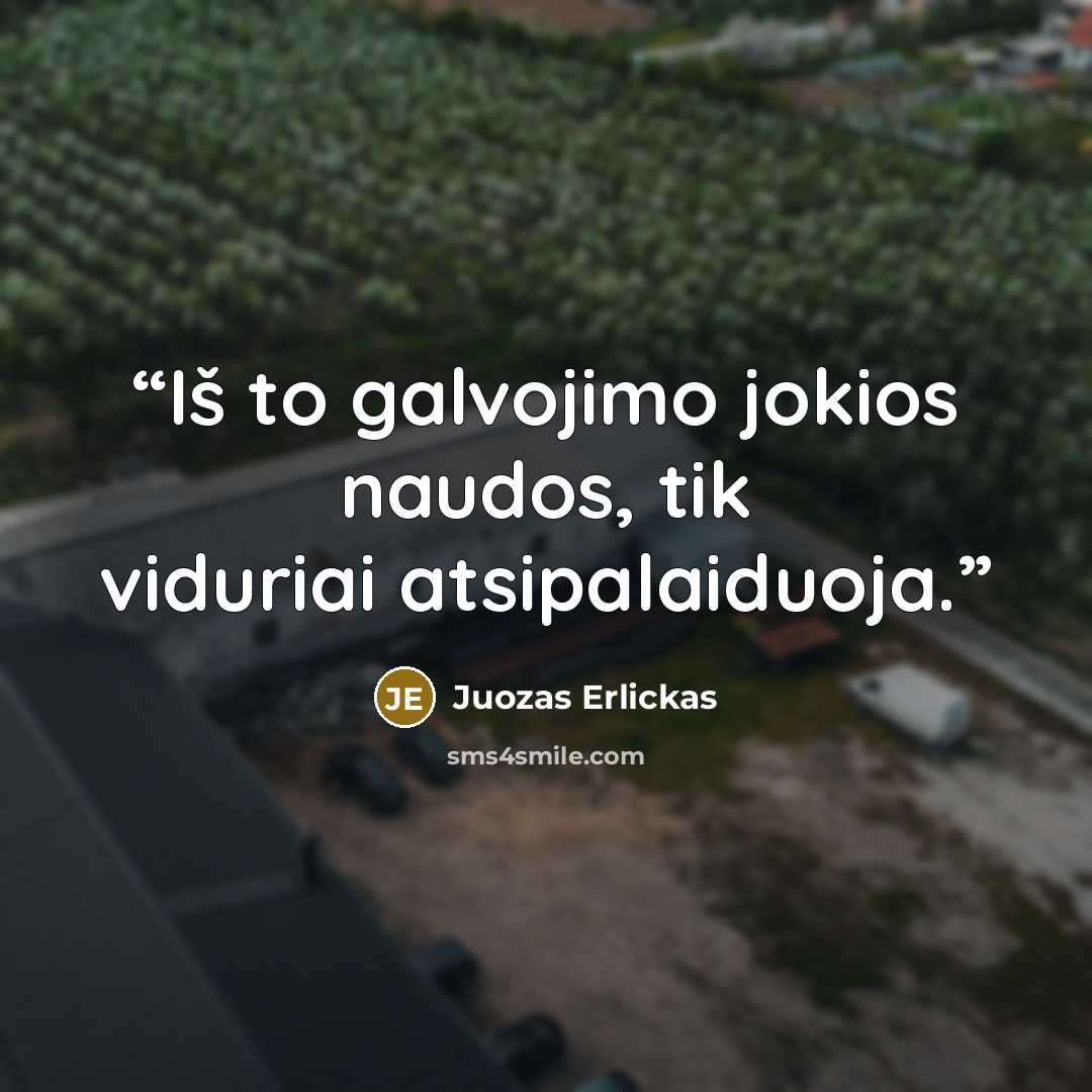“Iš to galvojimo jokios naudos, tik viduriai atsipalaiduoja.” quote by Juozas Erlickas