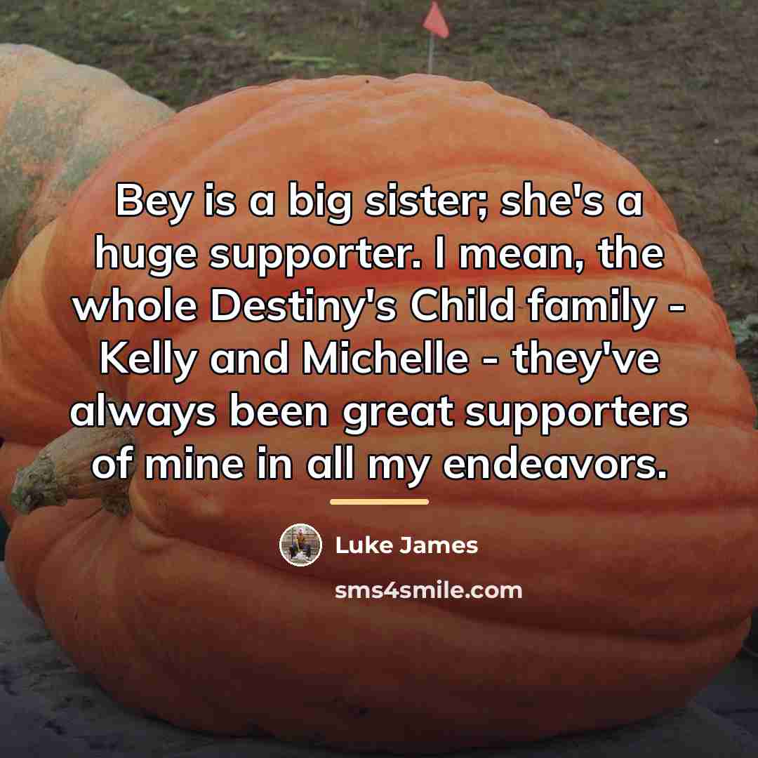 “Bey is a big sister; she's a huge supporter. I…” quote by Luke James