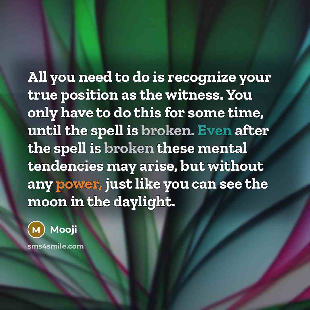 “All you need to do is recognize your true position…” quote by Mooji