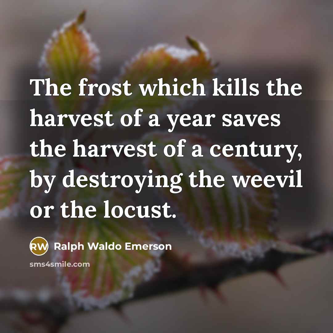 “The frost which kills the harvest of a year saves…” quote by Ralph Waldo Emerson