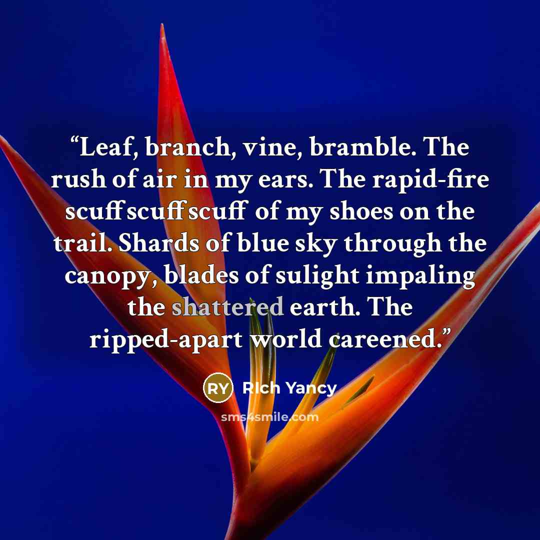 “Leaf, branch, vine, bramble. The rush of air in my ears. The rapid-fire scuffscuffscuff of my shoes on the trail. Shards of blue sky through the canopy, blades of sulight impaling the shattered earth. The ripped-apart world careened.” quote by RIch Yancy