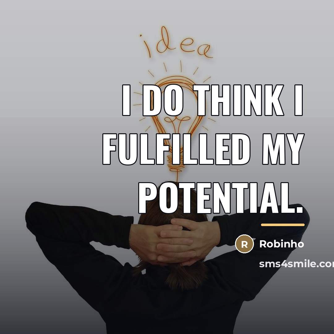 “I do think I fulfilled my potential.…” quote by Robinho