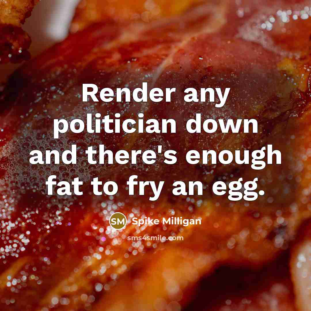 “Render any politician down and there's enough fat to fry…” quote by Spike Milligan