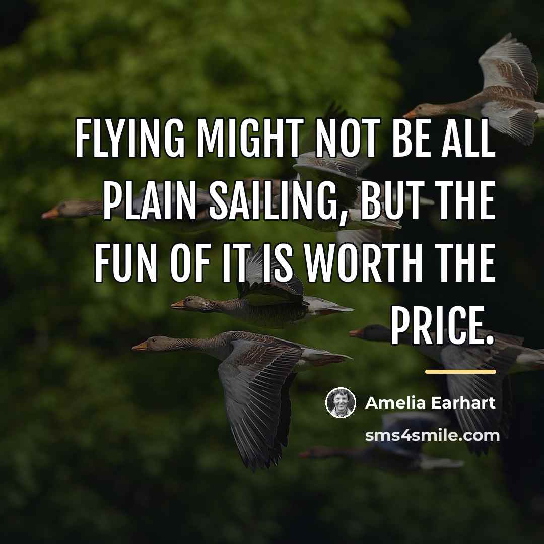 “Flying might not be all plain sailing, but the fun…” quote by Amelia Earhart