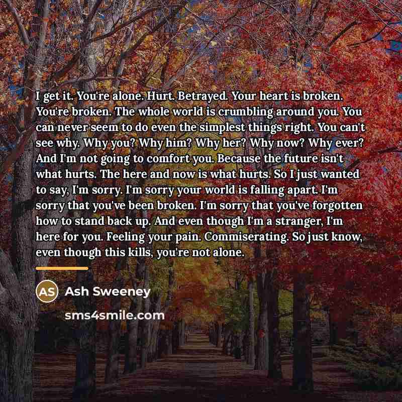 “I get it. You're alone. Hurt. Betrayed. Your heart is…” quote by Ash Sweeney