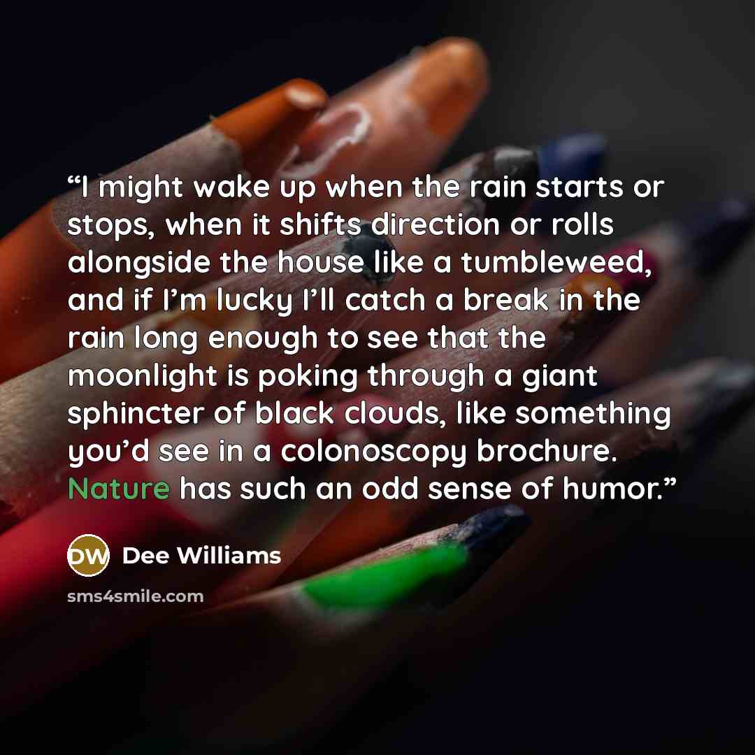 “I might wake up when the rain starts or stops, when it shifts direction or rolls alongside the house like a tumbleweed, and if I’m lucky I’ll catch a break in the rain long enough to see that the moonlight is poking through a giant sphincter of black clouds, like something you’d see in a…” quote by Dee Williams