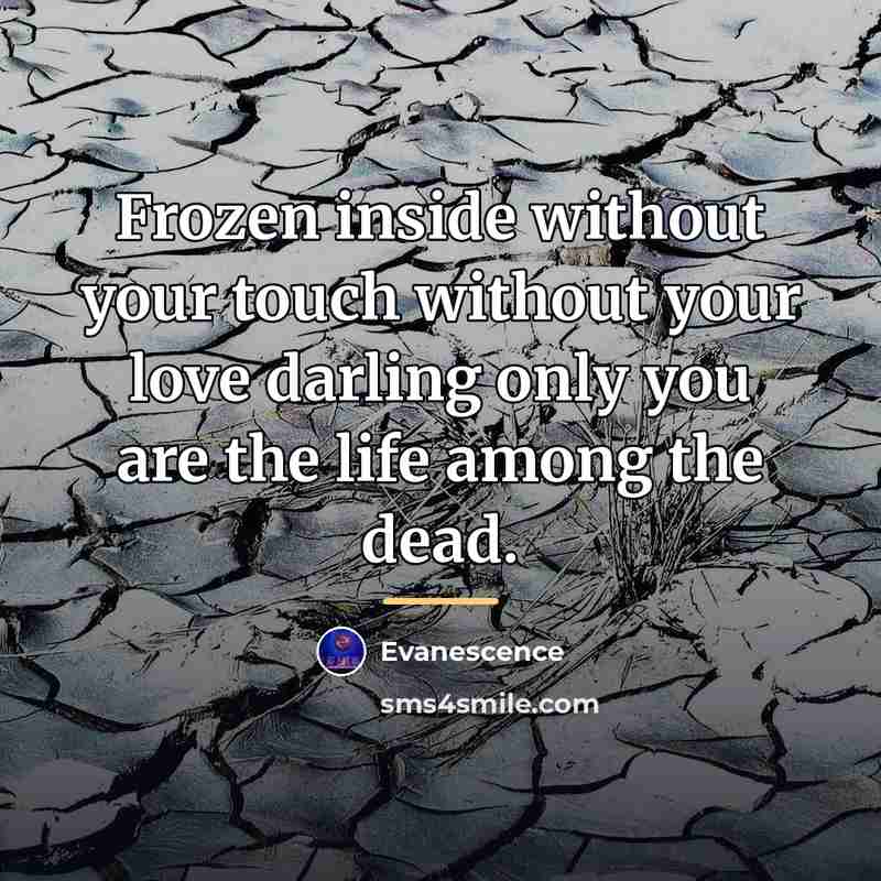 “Frozen inside without your touch without your love darling only…” quote by Evanescence