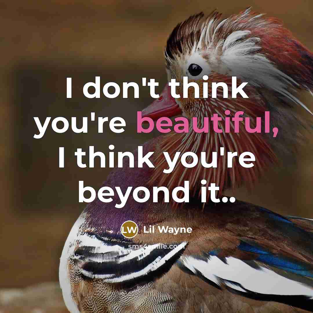 “I don't think you're beautiful, I think you're beyond it..…” quote by Lil Wayne
