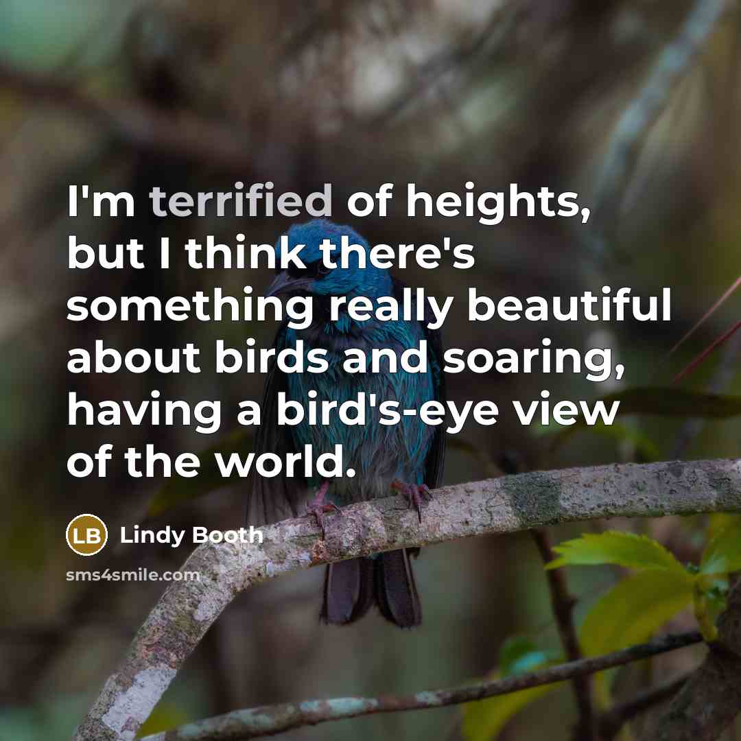 “I'm terrified of heights, but I think there's something really…” quote by Lindy Booth