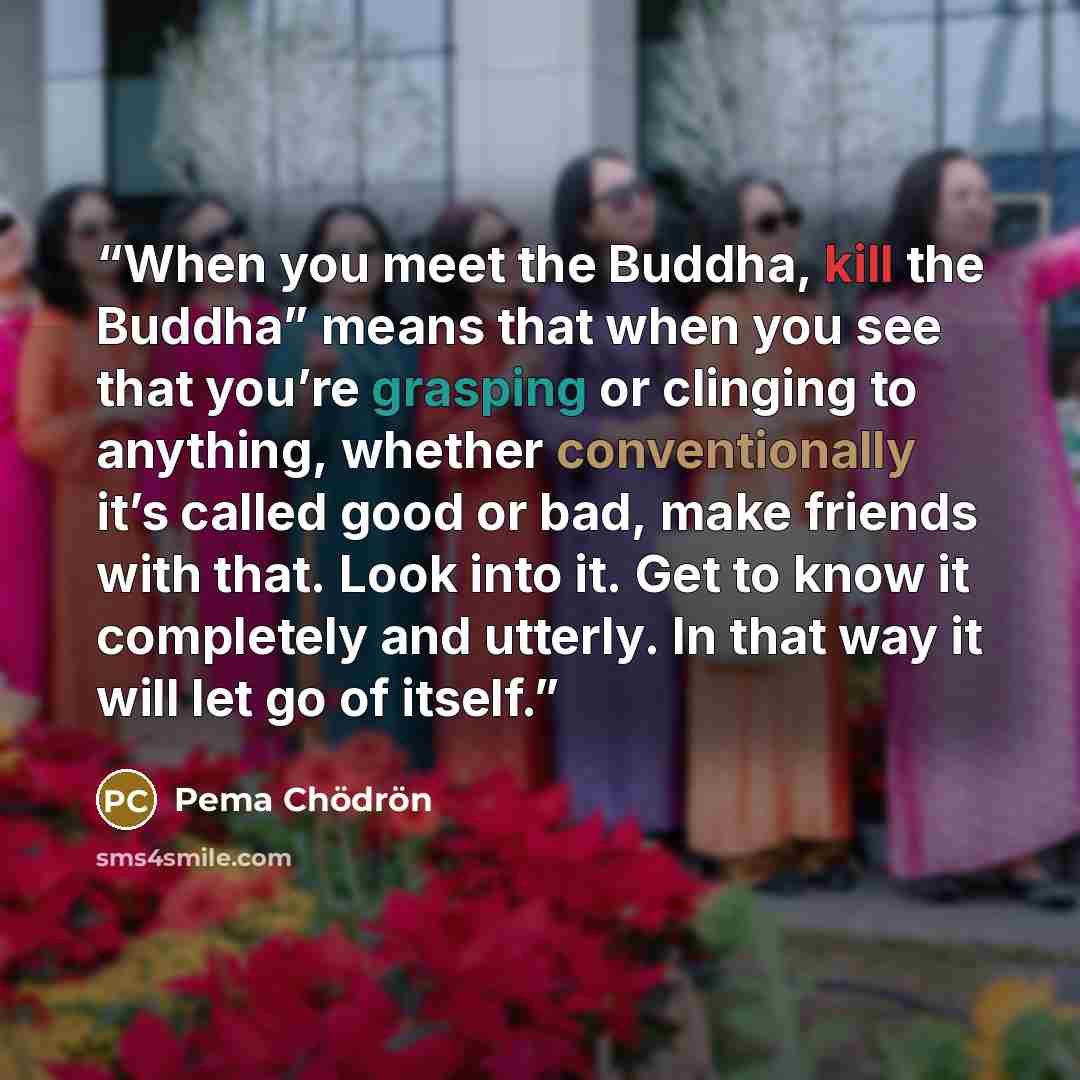 “When you meet the Buddha, kill the Buddha” means that when you see that you’re grasping or clinging to anything, whether conventionally it’s called good or bad, make friends with that. Look into it. Get to know it completely and utterly. In that way it will let go of itself.” quote by Pema Chödrön