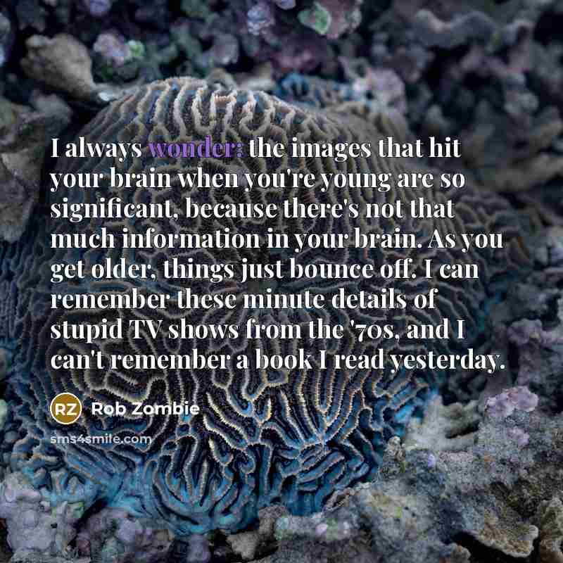 “I always wonder: the images that hit your brain when…” quote by Rob Zombie