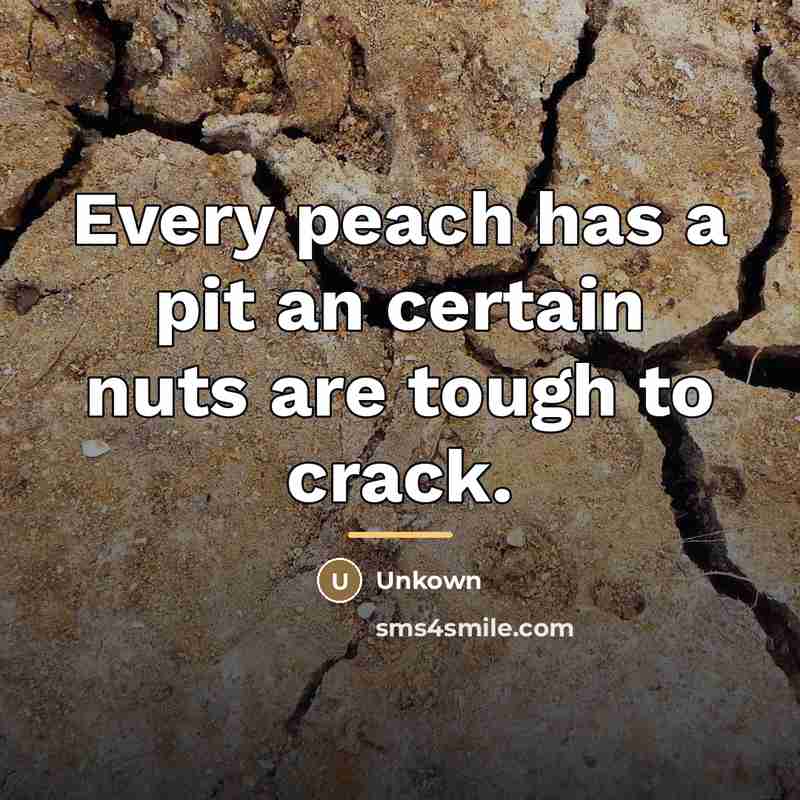 “Every peach has a pit an certain nuts are tough…” quote by Unkown