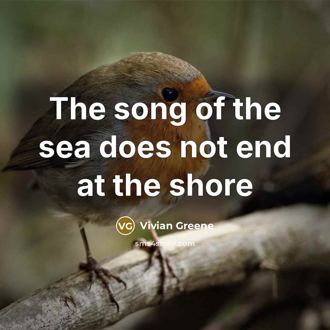 “The song of the sea does not end at the shore” quote by Vivian Greene