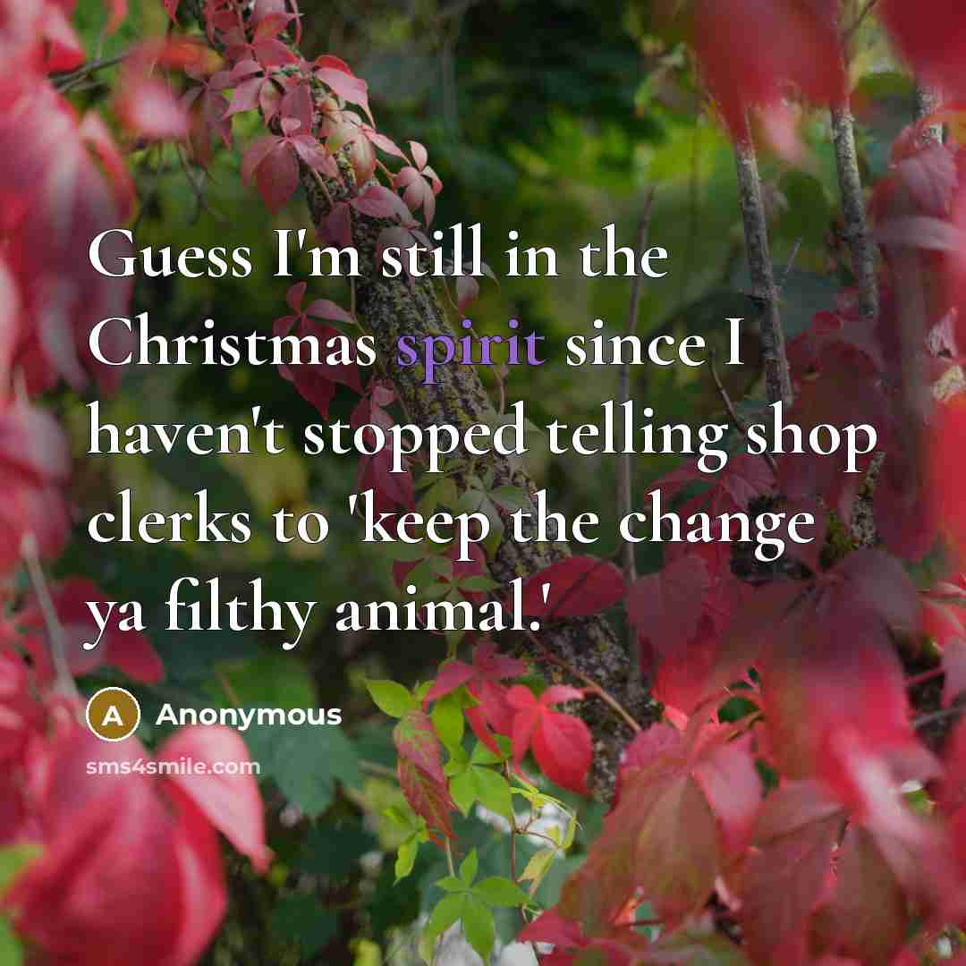 “Guess I'm still in the Christmas spirit since I haven't…” quote by Anonymous