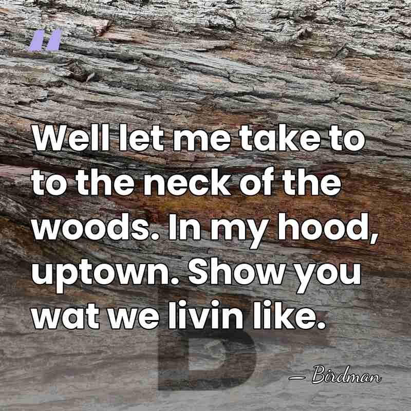 Well let me take to to the neck of the woods. In&hellip; - Birdman