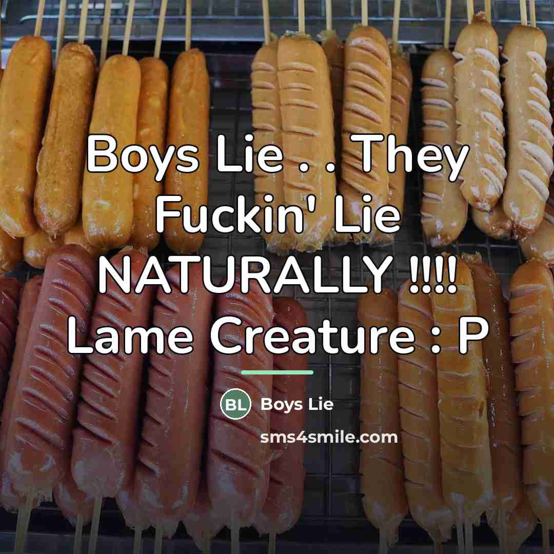 “Boys Lie . . They Fuckin' Lie NATURALLY !!!! Lame…” quote by Boys Lie