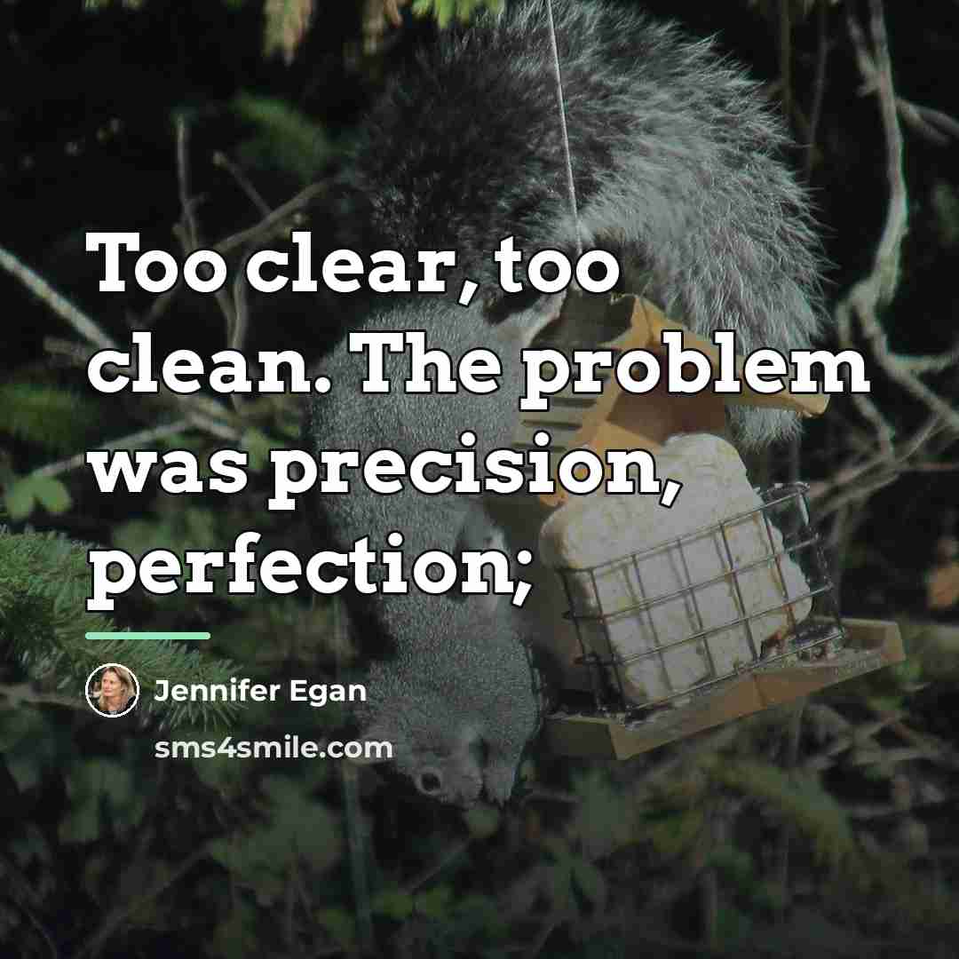 “Too clear, too clean. The problem was precision, perfection;…” quote by Jennifer Egan