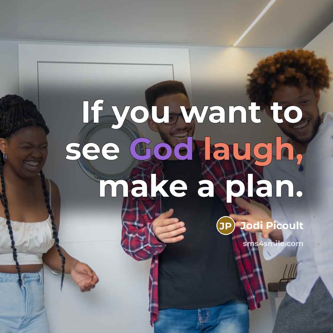 “If you want to see God laugh, make a plan.…” quote by Jodi Picoult