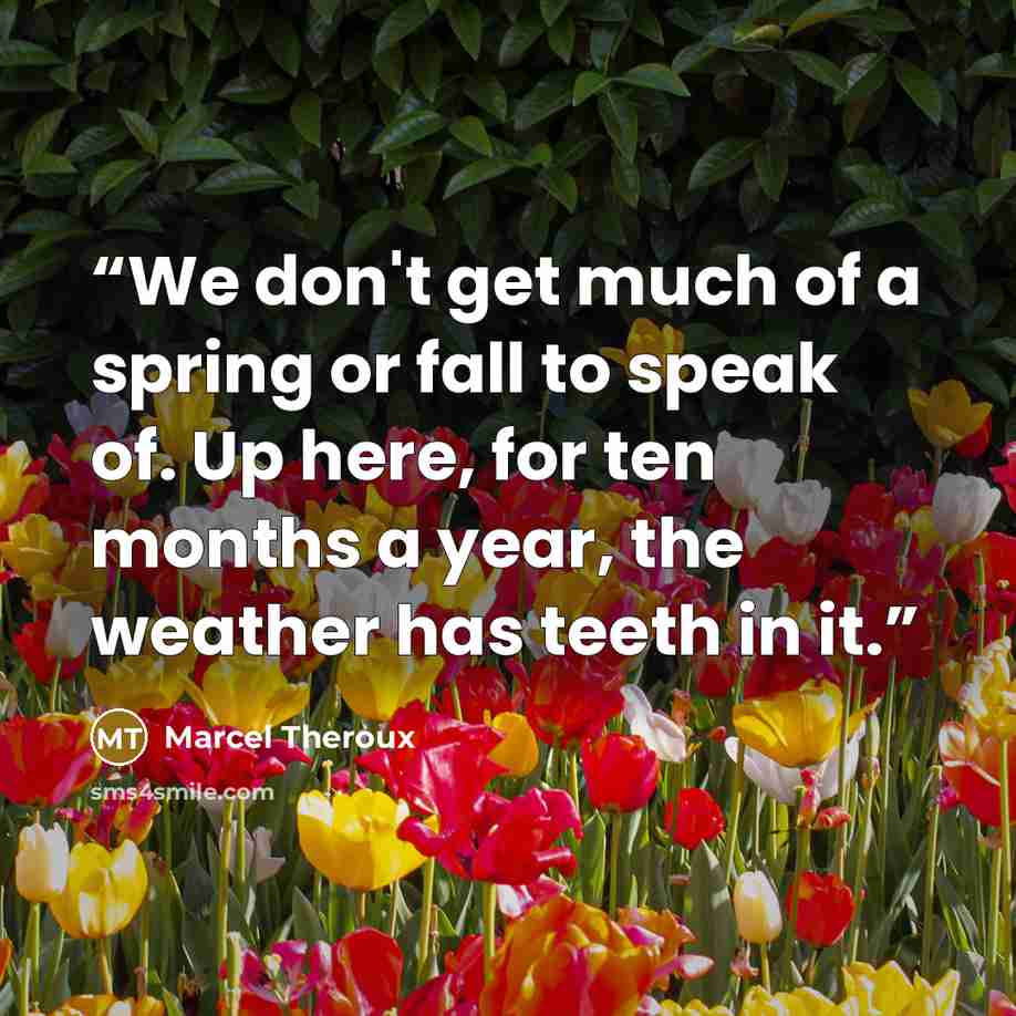 “We don't get much of a spring or fall to speak of. Up here, for ten months a year, the weather has teeth in it.” quote by Marcel Theroux