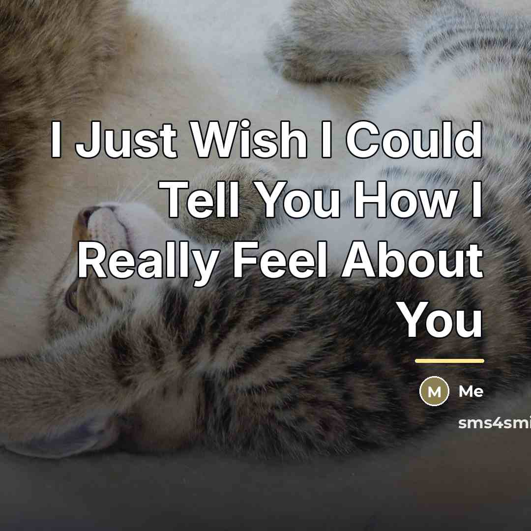“I Just Wish I Could Tell You How I Really…” quote by Me