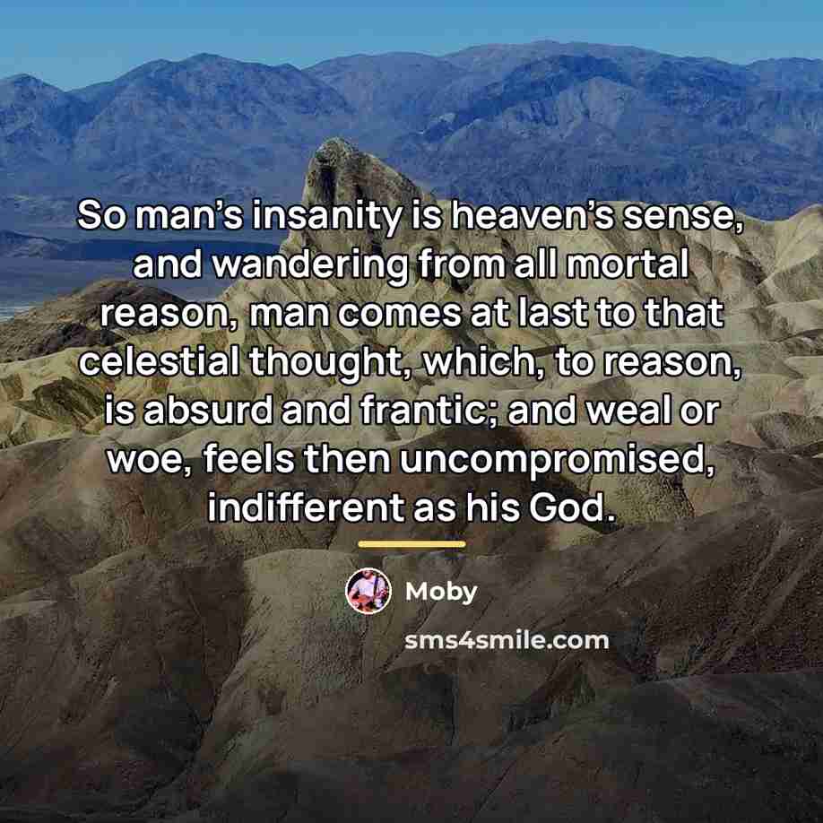 “So man's insanity is heaven's sense, and wandering from all…” quote by Moby
