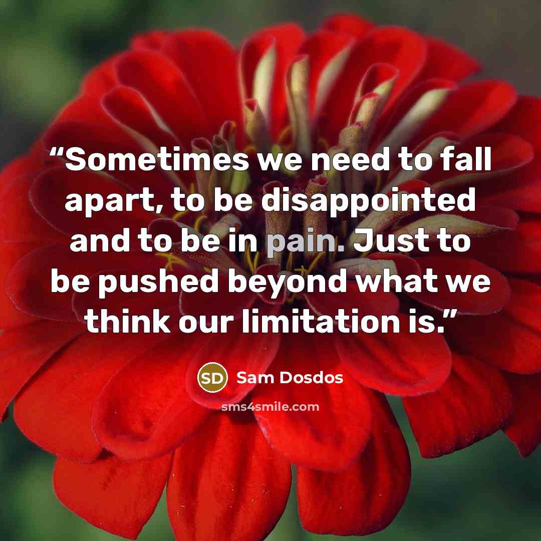 “Sometimes we need to fall apart, to be disappointed and to be in pain. Just to be pushed beyond what we think our limitation is.” quote by Sam Dosdos