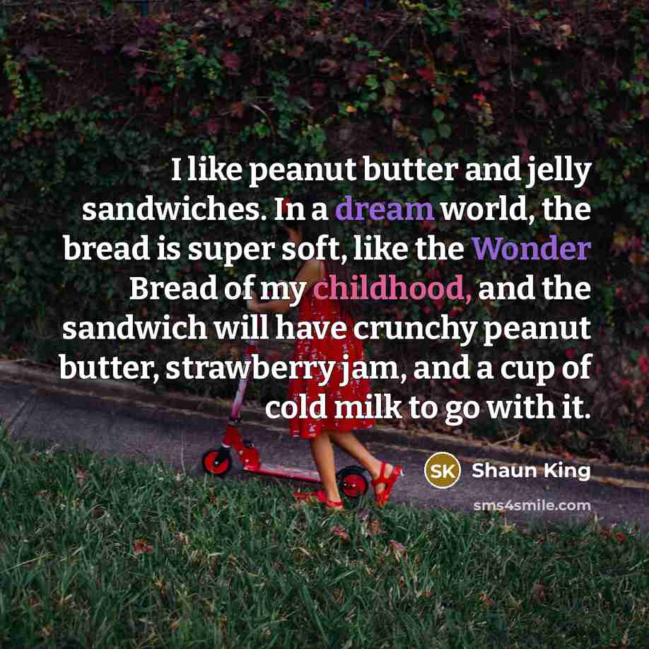 “I like peanut butter and jelly sandwiches. In a dream…” quote by Shaun King