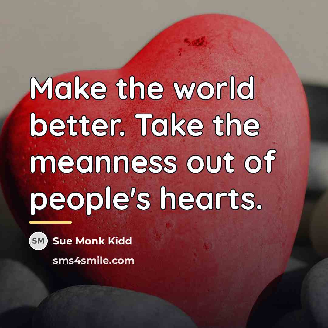 “Make the world better. Take the meanness out of people's…” quote by Sue Monk Kidd