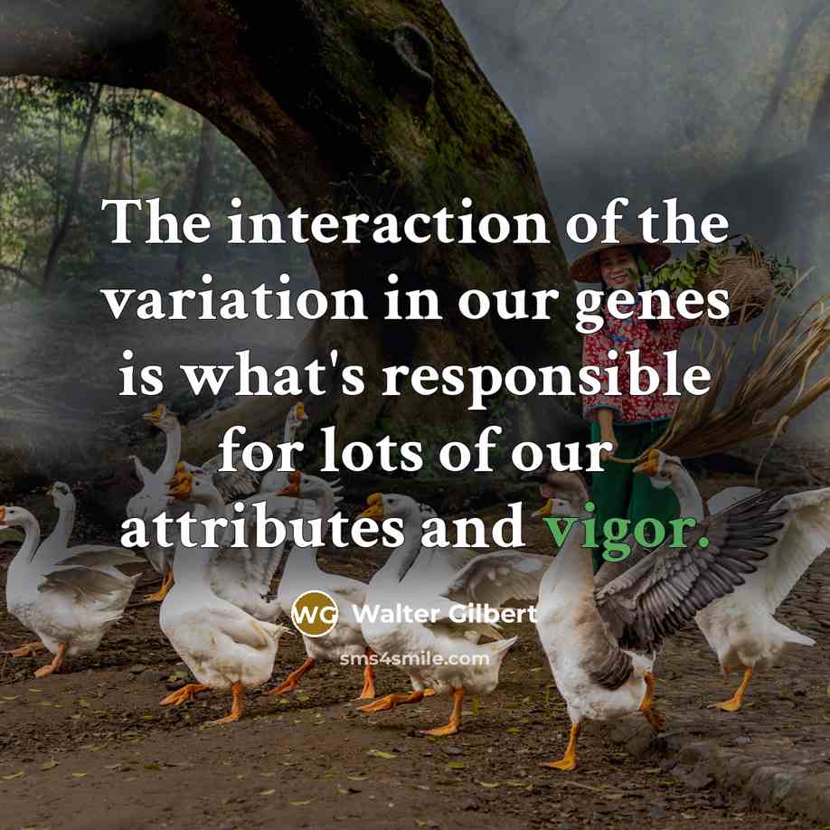 “The interaction of the variation in our genes is what's…” quote by Walter Gilbert