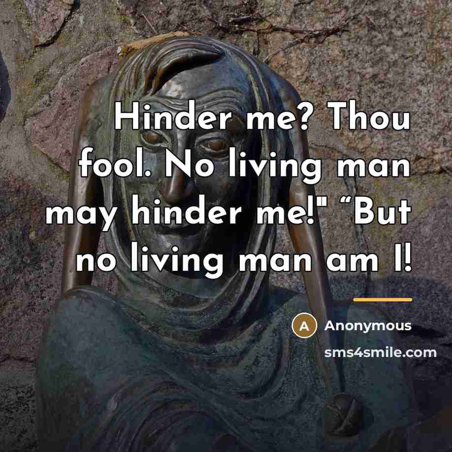 “Hinder me? Thou fool. No living man may hinder me!"…” quote by Anonymous