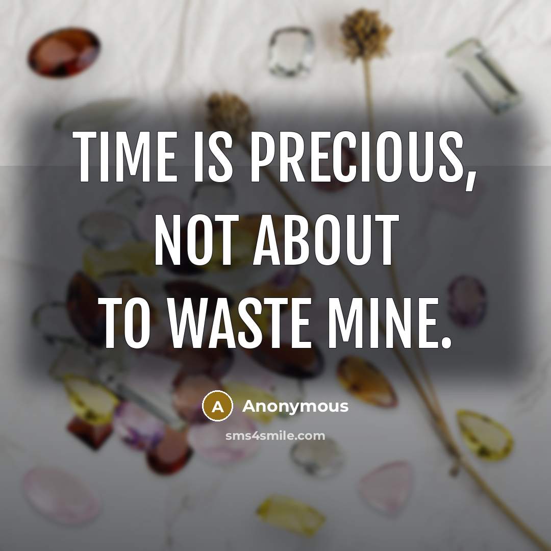 “Time is precious, not about to waste mine.” quote by Anonymous