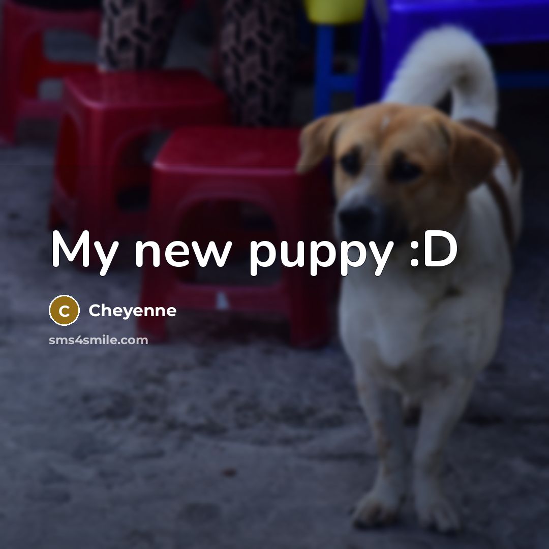 “My new puppy :D…” quote by Cheyenne