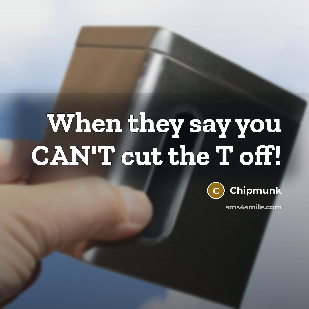 “When they say you CAN'T cut the T off!” quote by Chipmunk