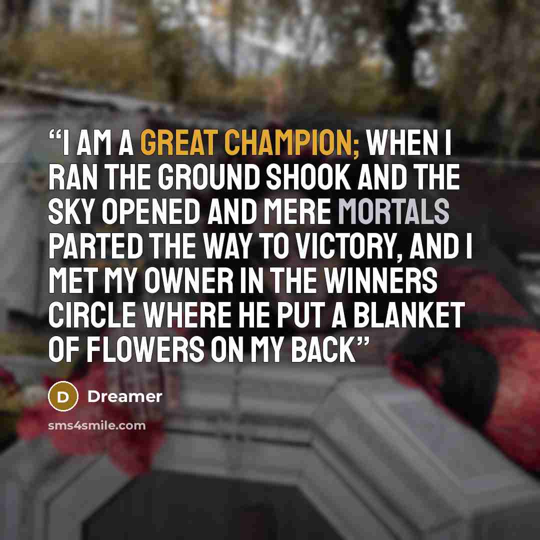 “I am a great champion; when I ran the ground shook and the sky opened and mere mortals parted the way to victory, and I met my owner in the winners circle where he put a blanket of flowers on my back” quote by Dreamer