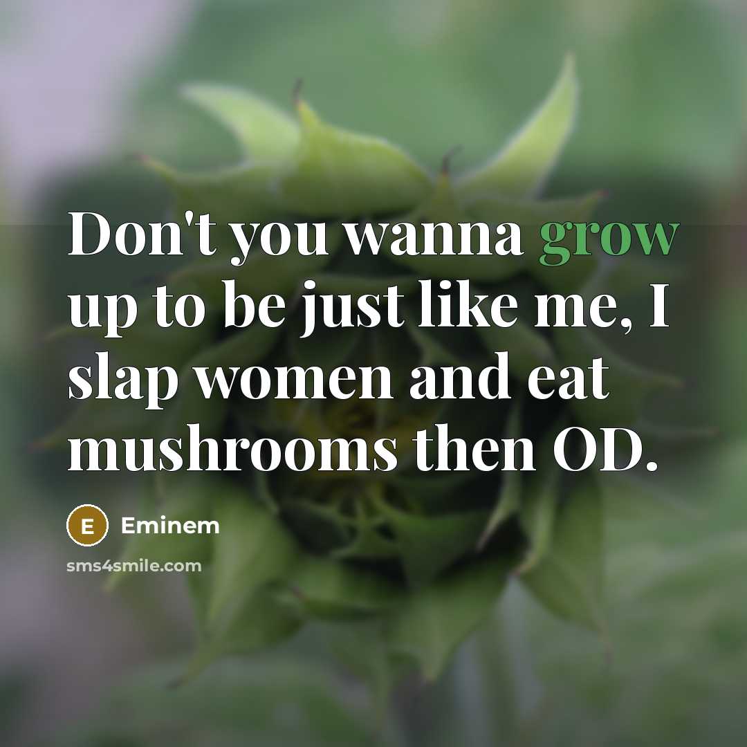 “Don't you wanna grow up to be just like me,…” quote by Eminem