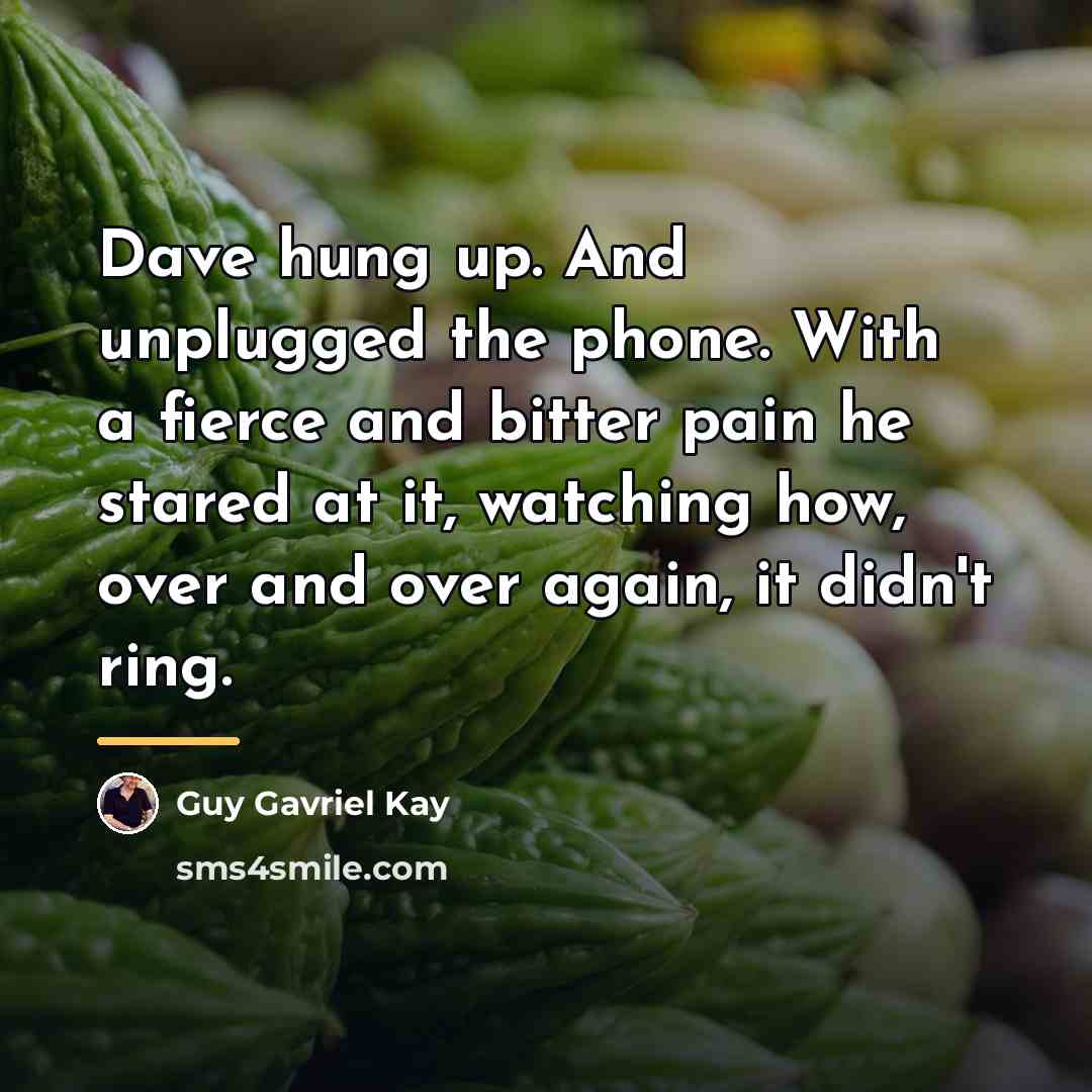 “Dave hung up. And unplugged the phone. With a fierce…” quote by Guy Gavriel Kay