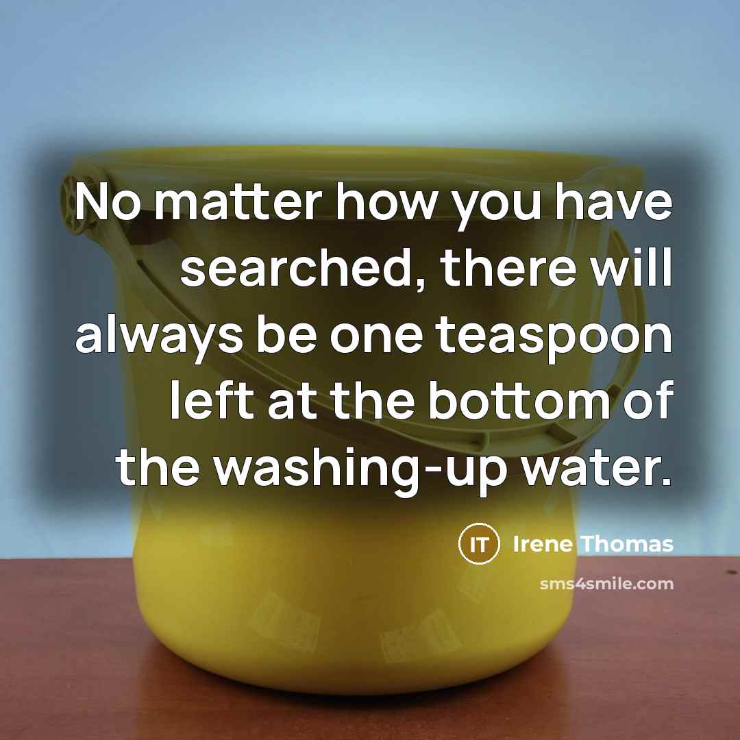 “No matter how you have searched, there will always be…” quote by Irene Thomas