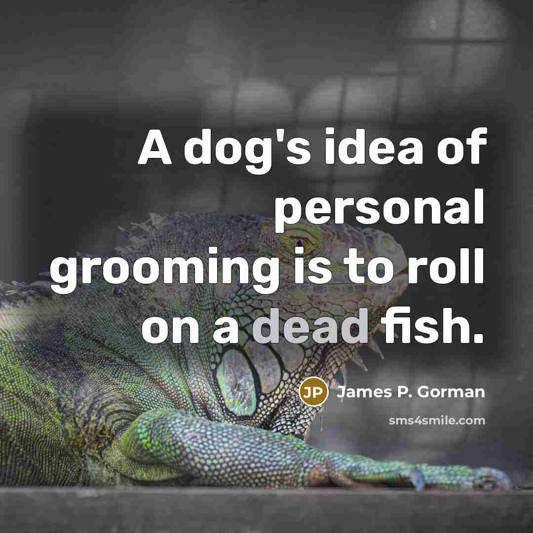 “A dog's idea of personal grooming is to roll on a dead fish.” quote by James P. Gorman