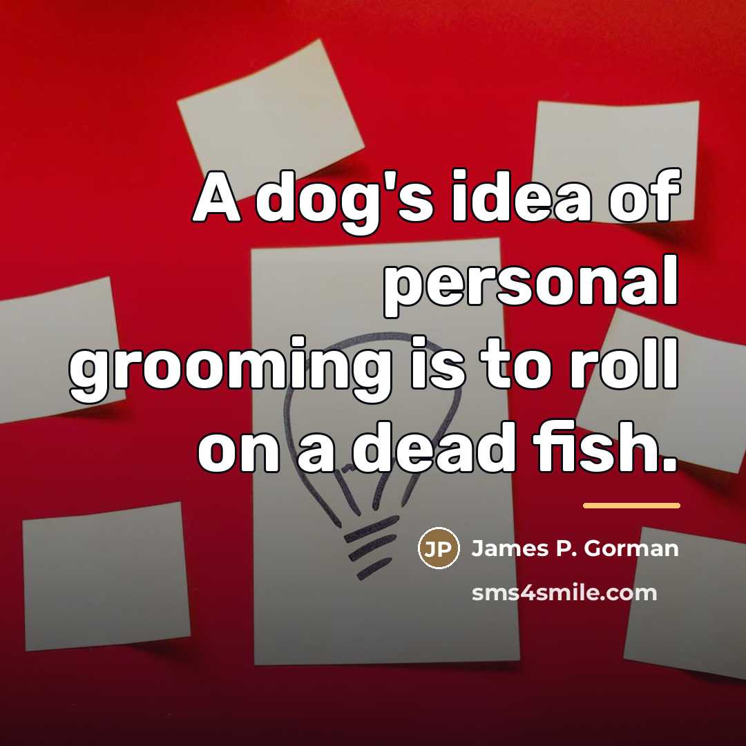 “A dog's idea of personal grooming is to roll on…” quote by James P. Gorman